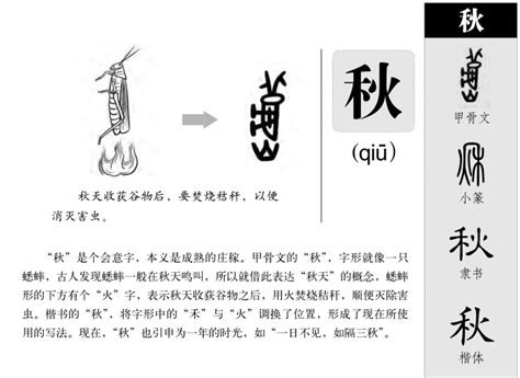 秋字五行|秋的五行属性是什么